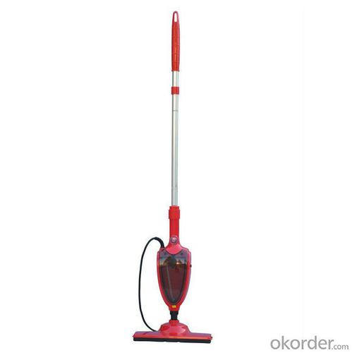 Steam Mop System 1