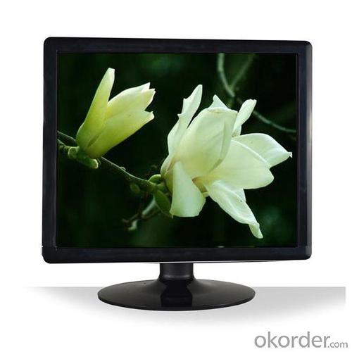 19 Inch Hdmi Pc LCD Monitor 12V Dc System 1