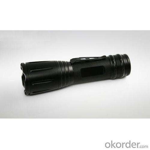 High Intensity Security Led Torch System 1