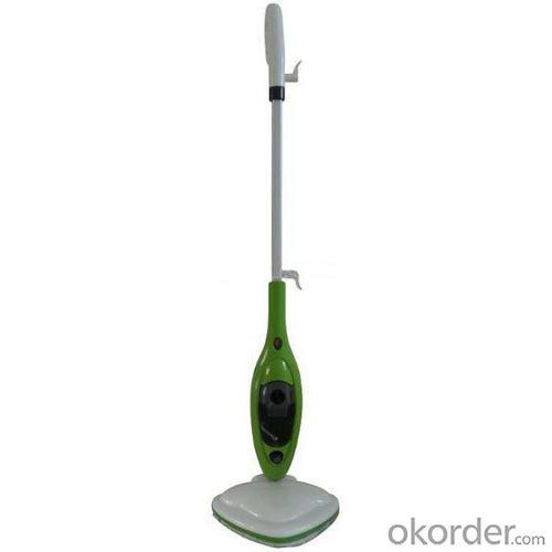 10 In 1 Steam Mop System 1