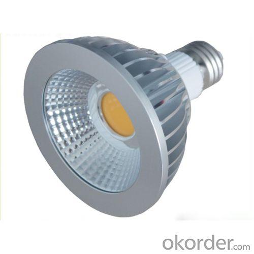 High Quality Led Par38 Cob Led Spotlight, E27 Dimmable Cob Led Par30 Lamp, 14W Par30 Led Bulb