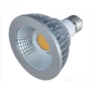 High Quality Led Par38 Cob Led Spotlight, E27 Dimmable Cob Led Par30 Lamp, 14W Par30 Led Bulb System 1