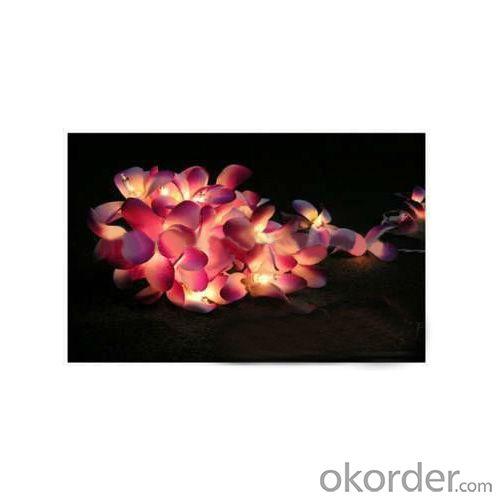 Christmas Decoration Rose String Light System 1