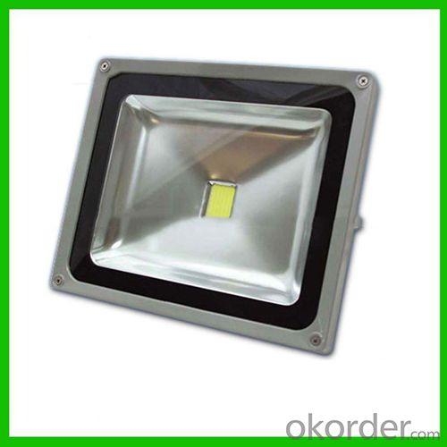 Bridgelux Ra80 Ip68 30W Led Flood Light Ac85-265 Ip68 System 1