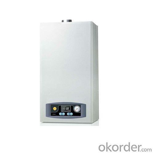 Gas Boiler for Radiator and Floor Heating System 1