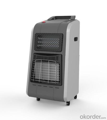 Gas and Electric Heater for Home Use System 1