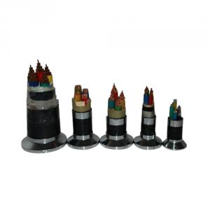 Multi Cores Xlpe Insulated Pvc Sheathed Power Cable System 1