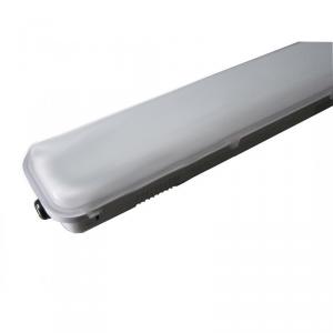 Led Lamp Batten IP65 With Saa C-Tick CE, ROHS By Professional Manufacturer