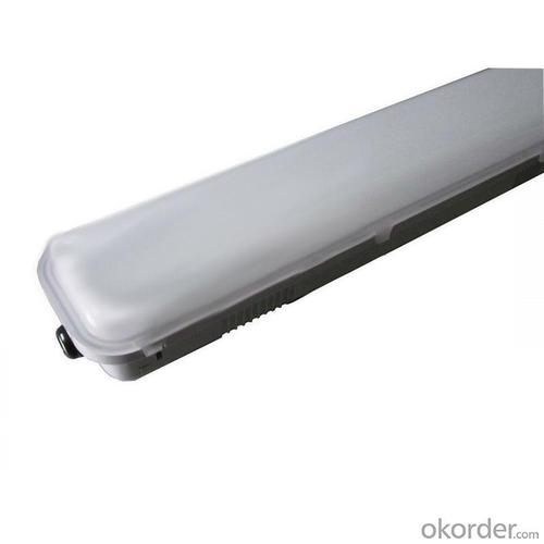 Led Lamp Batten IP65 With Saa C-Tick CE, ROHS By Professional Manufacturer System 1