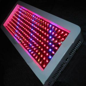 Indoor Growing Hydroponics 200W LED Light Hot Sale System 1
