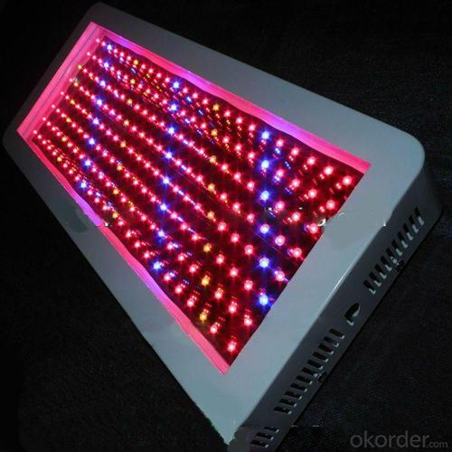 Indoor Growing Hydroponics 200W LED Light Hot Sale System 1