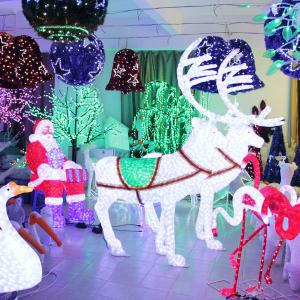 2014 Hot Selling Outdoor Christmas Decoration System 1