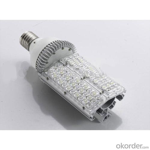 Newest Hot-Sale High Lumin 30W E40 LED Garden Lamp From China Factory System 1