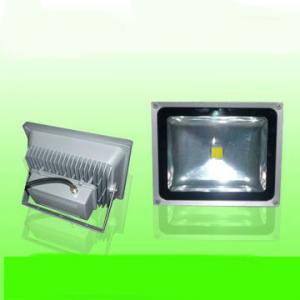 30W IP65 Outdoor 220V LED Garden Light From China Factory Manufacturer