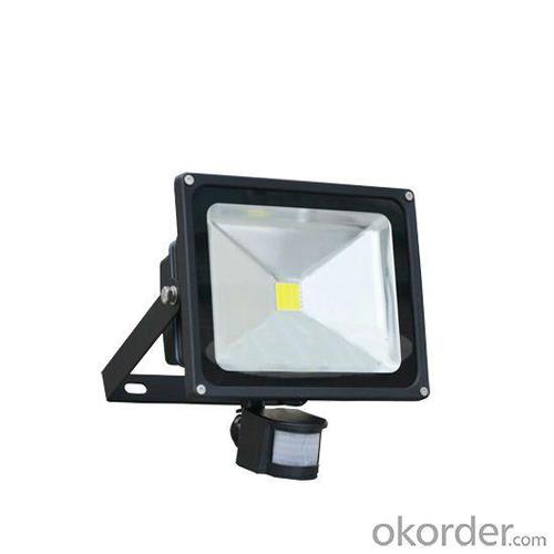 Hot Selling -12 Hot Sale High Lumen Ip44 30W Tuv Gs Tuv-Ce Pir Floodlight LED Floodlight With Pir Sensor System 1