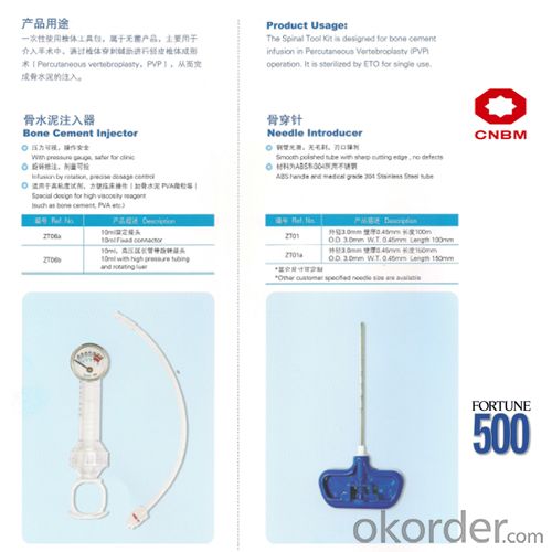 Percutaneous Vertebroplasty System 1