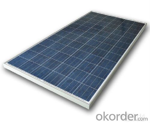 250Watt Polycrystalline Solar Panels
