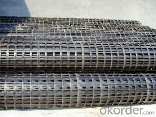 HDPE Uniaxial Geogrid/Plastic Geogrid Manufacturer with ASTM Standard