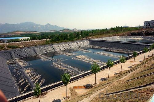 PE Geomembrane For Pond Liner and Other Waterproof Project