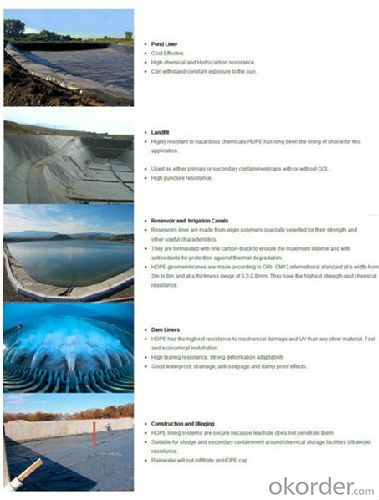 LDPE Geomembrane Price Chinese Top Quality