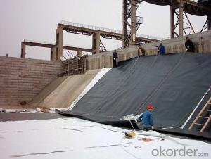 PE Geomembrane For Pond Liner and Other Waterproof Project