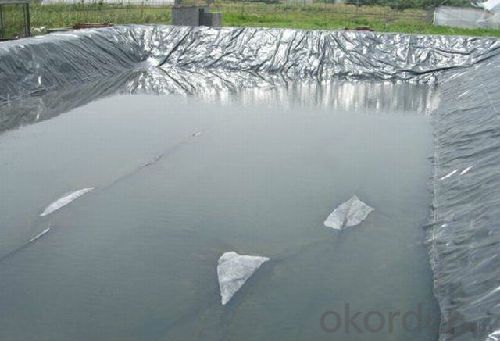 Smooth Side LLDPE Geomembrane for Wasterwater Treatment Lagoons