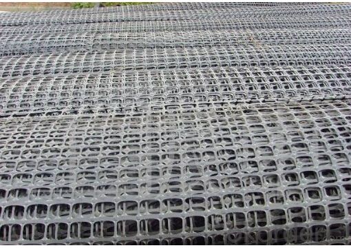 HDPE Uniaxial Geogrid with High Tensile Strength for Retaining Wall/Road Consturction System 1