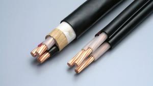 Low Voltage XLPE Insulated  Power Cable System 1