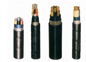 High Voltage XLPE Insulated  Power Cable System 1