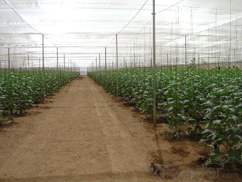 Sunshade Net f Shade Cover Safety Net Scaffolding Net Construction Net or Argriculture and Construction