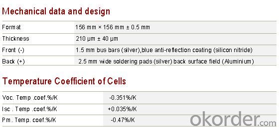 CNBM Polycrystalline Silicon Solar Cells156mm (16.00%—17.80%)