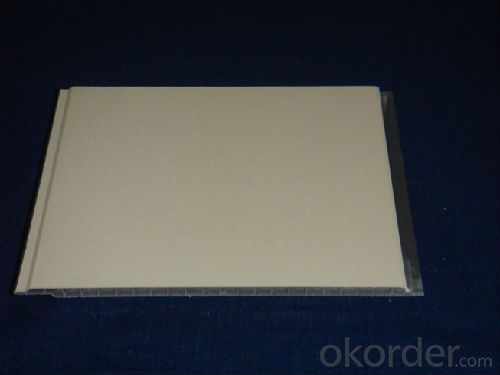 PVC Panel Characteristics Variety of Colors and Patterns