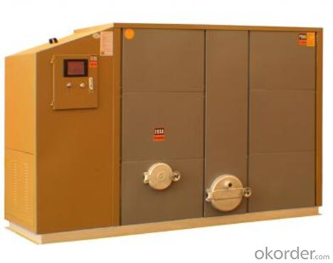 High-end Horizontal Biomass Boiler--116KW