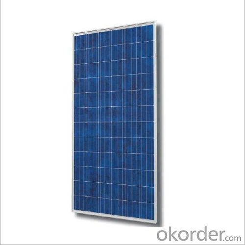 Poly Solar Panel with Good Price 280W 290W 300W