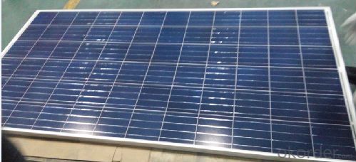 250W Poly Solar Panel in China with Full Certificate