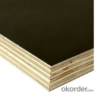 Good Quality of Film  Plywood with Competitive Price for Steel Formwork