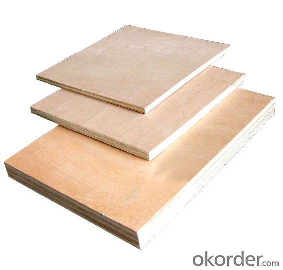 High Quality Plywood with Low Price for Steel Frame Formwork