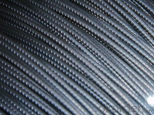 Five mm Cold Rolled Steel Rebars in Coils with High Quality