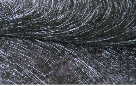 High Quality Basalt fiber Chopped Strand with Best Price