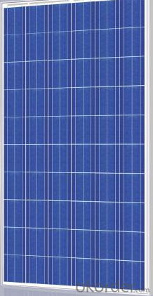 Poly Solar Panel 30w CNBM Solar Polycrystalline 156 Series