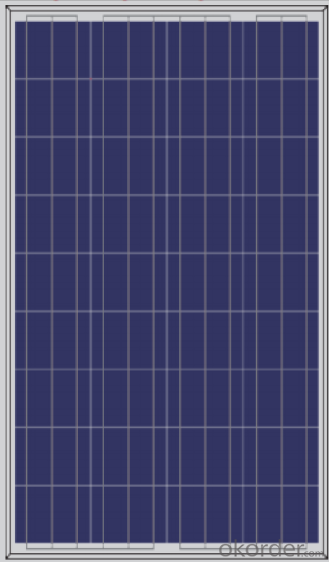 Poly Solar Module 120w  from CNBM ,China with Good Price