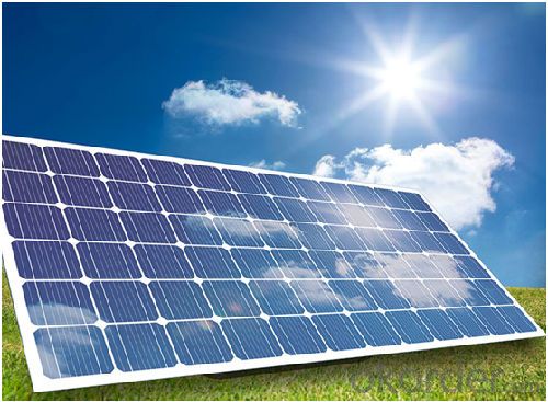 Poly Solar Panel  250 W Higher Efficiency  CNBM Brand China
