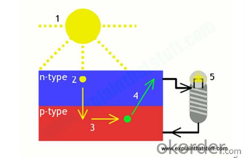 Solar Cell for Solar Panel Monocrystalline and Polycrystalline 156