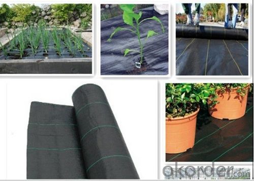 Silt Fence with Pocket/Weed Barrier/Woven Fabric