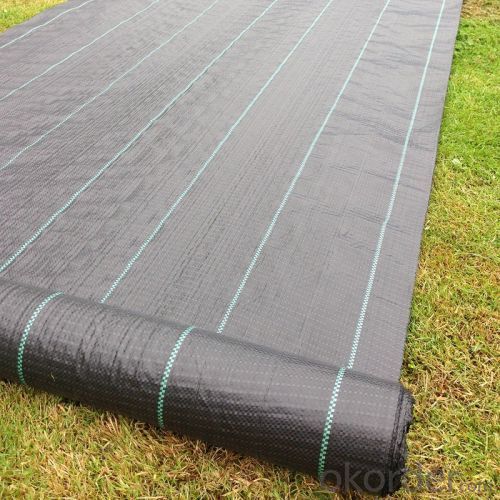 PP Woven Geotextile/ Groundcover/ Weed Barrier Fabric