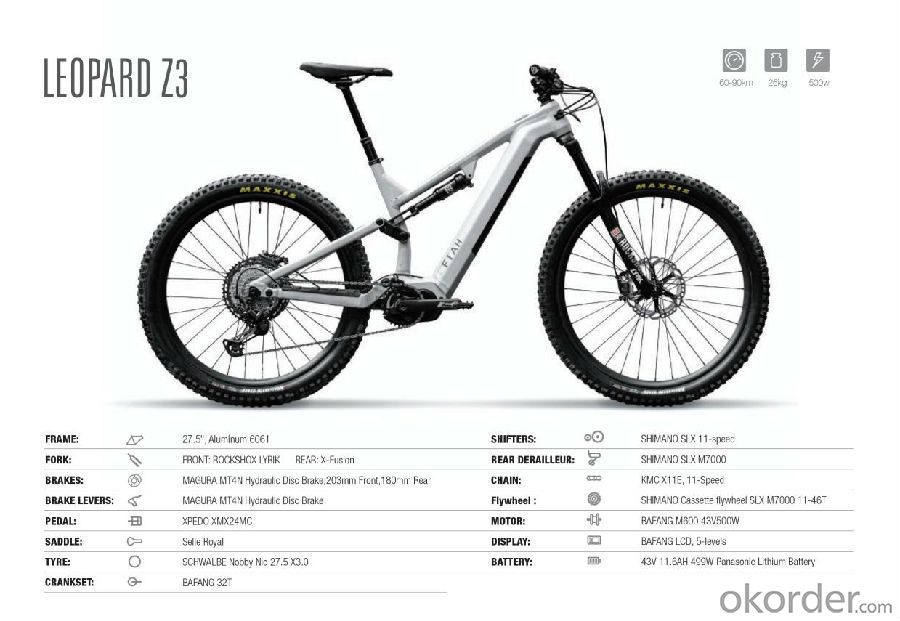 E-BIKE   LEOPARD Z3 With removable 499W battery capacity