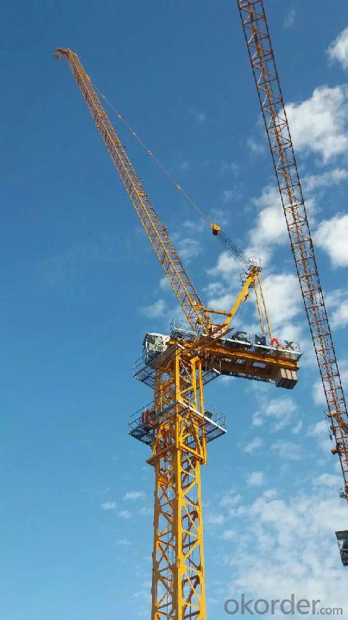 LUFFING CRANE TCD6024 WITH PLC control with automatic malfunction judgment