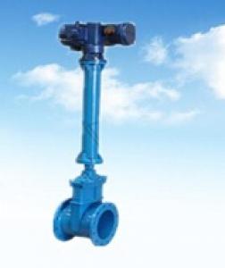 DN66 Ductile Iron Rubber Gate Valve With Long Stem