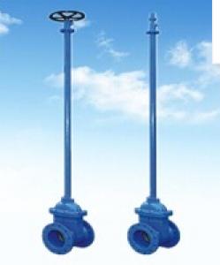 DN50 Ductile Iron Rubber Gate Valve with long stem System 1