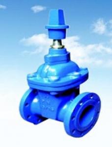 DN80 Ductile Iron Rubber Gate Valve System 1